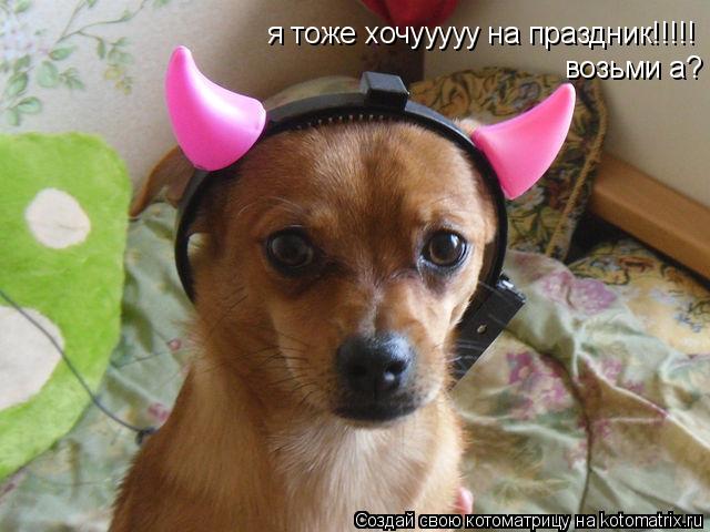Котоматрица: я тоже хочууууу на праздник!!!!! возьми а?