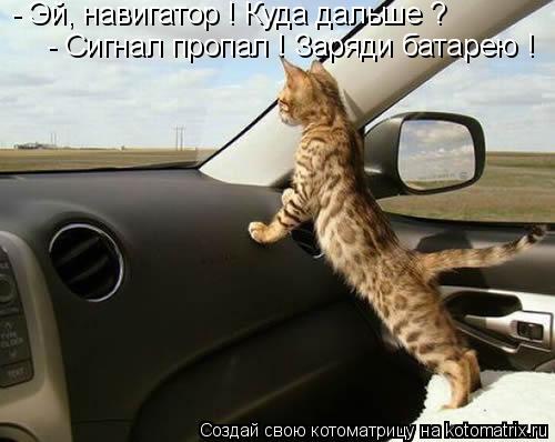 Котоматрица: - Эй, навигатор ! Куда дальше ? - Сигнал пропал ! Заряди батарею !