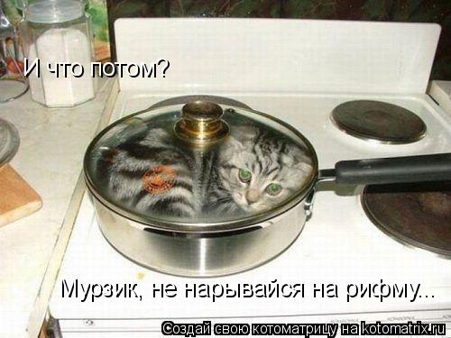 Котоматрица: И что потом? Мурзик, не нарывайся на рифму...