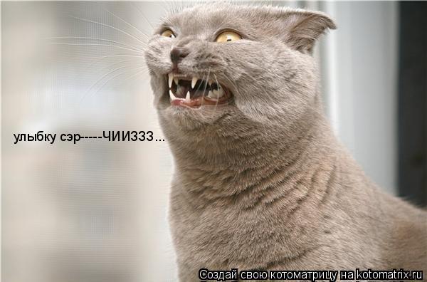 Котоматрица: улыбку сэр-----ЧИИЗЗЗ...
