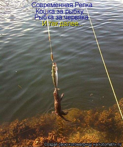 Котоматрица: Современная Репка Кошка за рыбку, Рыбка за червяка И так далее...