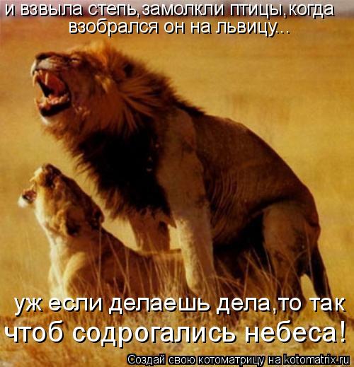 Котоматрица: и взвыла степь,замолкли птицы,когда взобрался он на львицу... уж если делаешь дела,то так чтоб содрогались небеса!