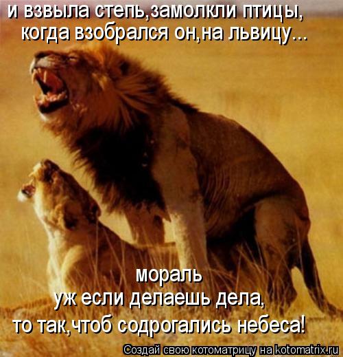 Котоматрица: и взвыла степь,замолкли птицы, когда взобрался он,на львицу... мораль уж если делаешь дела, то так,чтоб содрогались небеса!