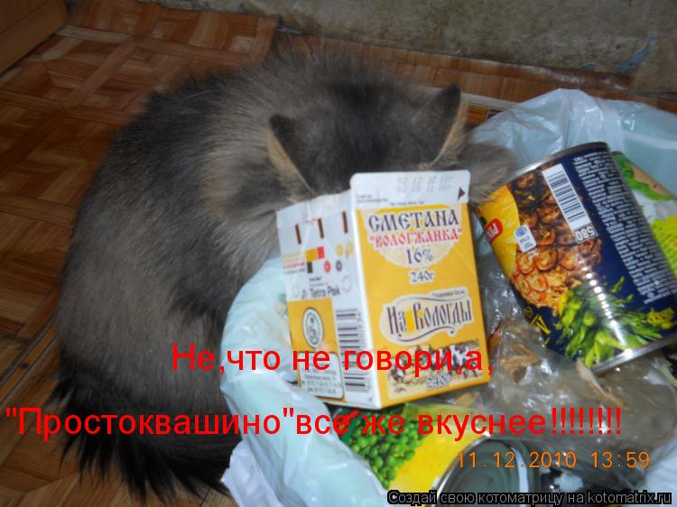 Котоматрица: Не,что не говори,а, Не,что не говори,а, "Простоквашино"все же вкуснее!!!!!!!!