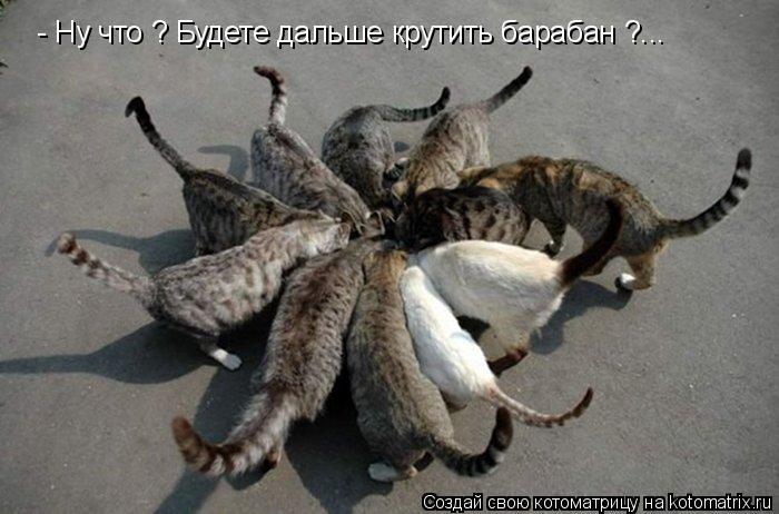 Котоматрица: - Ну что ? Будете дальше крутить барабан ?...