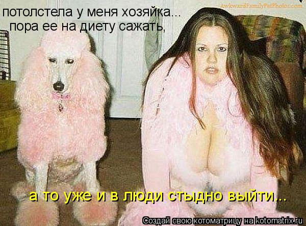 Котоматрица: потолстела у меня хозяйка...  пора ее на диету сажать,  а то уже и в люди стыдно выйти...