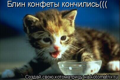 Котоматрица: Блин конфеты кончились(((