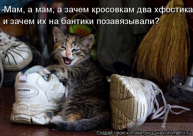 Котоматрица: -Мам, а мам, а зачем кросовкам два хфостика и зачем их на бантики позавязывали?