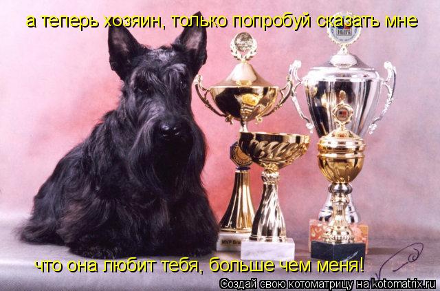 Котоматрица: а теперь хозяин, только попробуй сказать мне  что она любит тебя, больше чем меня!