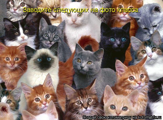 Котоматрица: Заводите следующих на фото класса.