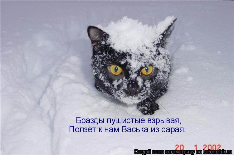 Котоматрица: Бразды пушистые взрывая, Ползёт к нам Васька из сарая.