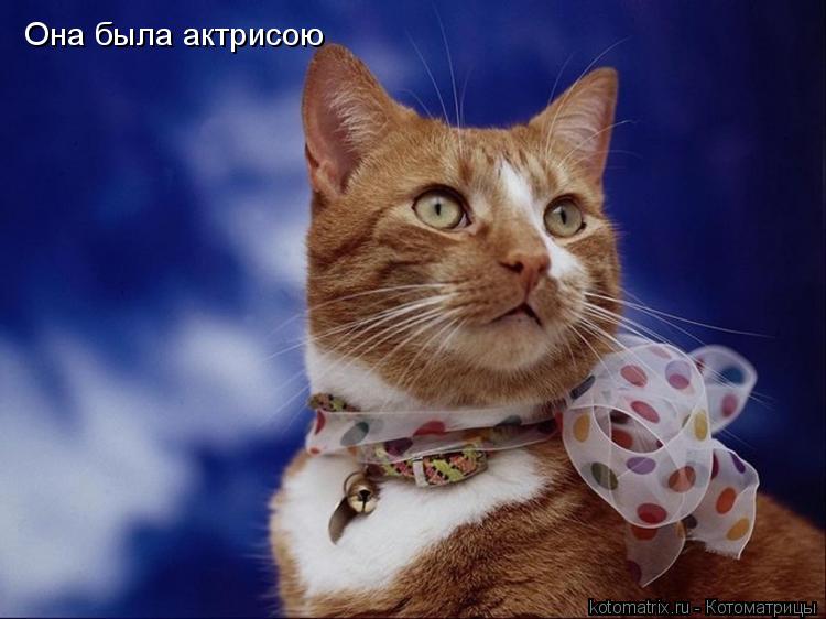 Котоматрица: Она была актрисою