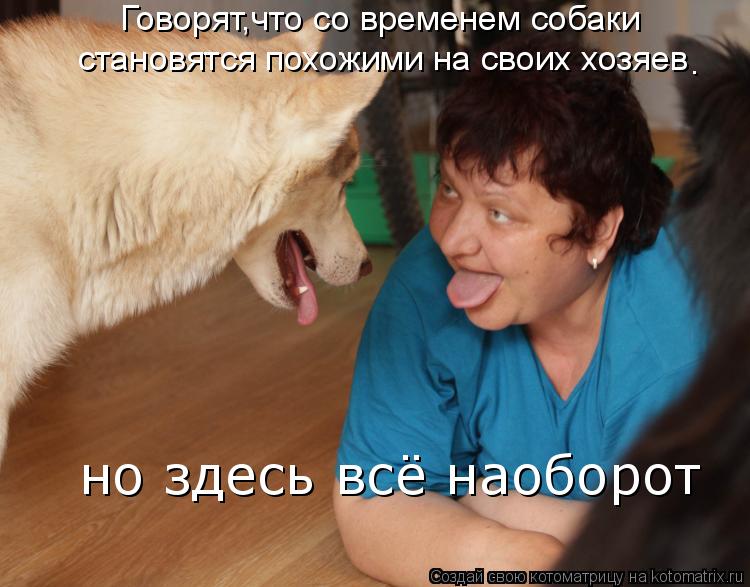 Котоматрица: Говорят,что со временем собаки становятся похожими на своих хозяев но здесь всё наоборот .