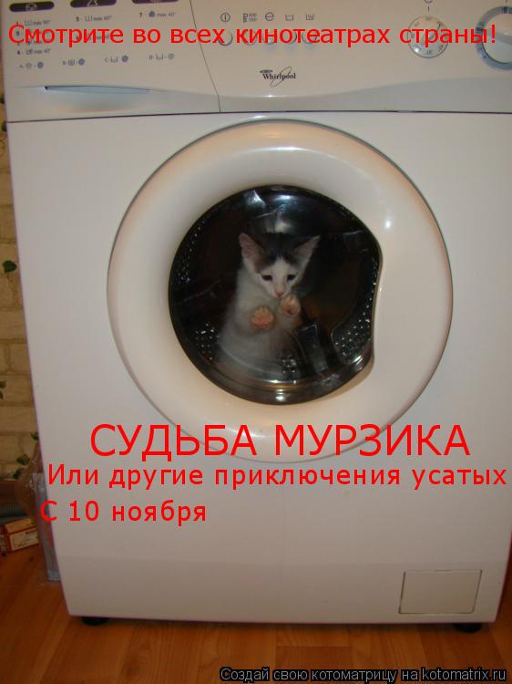 Котоматрица: Смотрите во всех кинотеатрах страны! СУДЬБА МУРЗИКА Или другие приключения усатых С 10 ноября