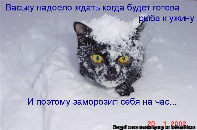 Котоматрица: Ваську надоело ждать когда будет готова  рыба к ужину  И поэтому заморозил себя на час...