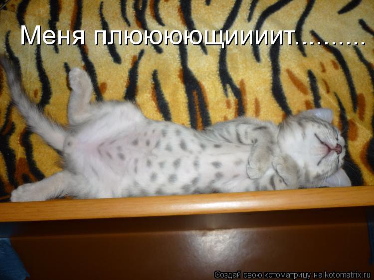 Котоматрица: Меня плюююющиииит..........