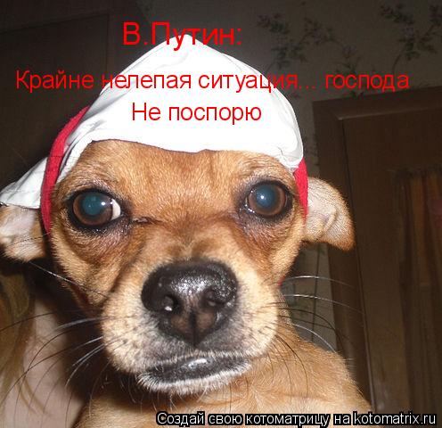 Котоматрица: В.Путин: Крайне нелепая ситуация... господа Не поспорю