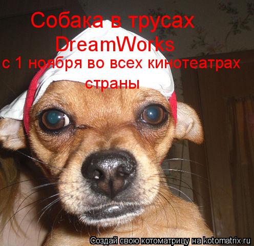 Котоматрица: Собака в трусах DreamWorks c 1 ноября во всех кинотеатрах страны