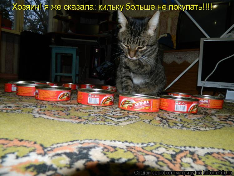 Котоматрица: Хозяин! я же сказала: кильку больше не покупать!!!!