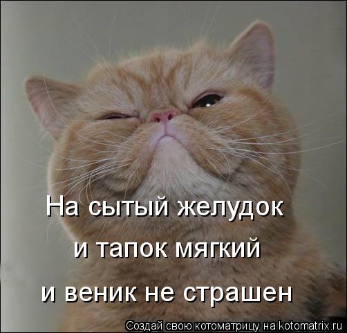 На сытый желудок и тапок мягкий и веник не страшен... Котоматрица: На сытый желудок и тапок мягкий и веник не страшен