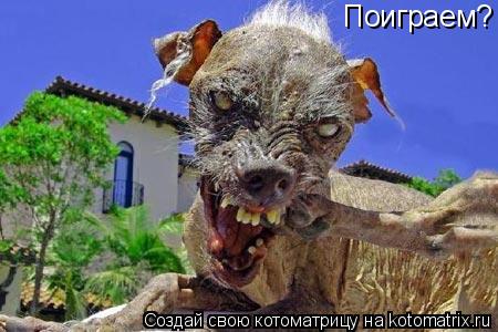 Котоматрица: Поиграем?