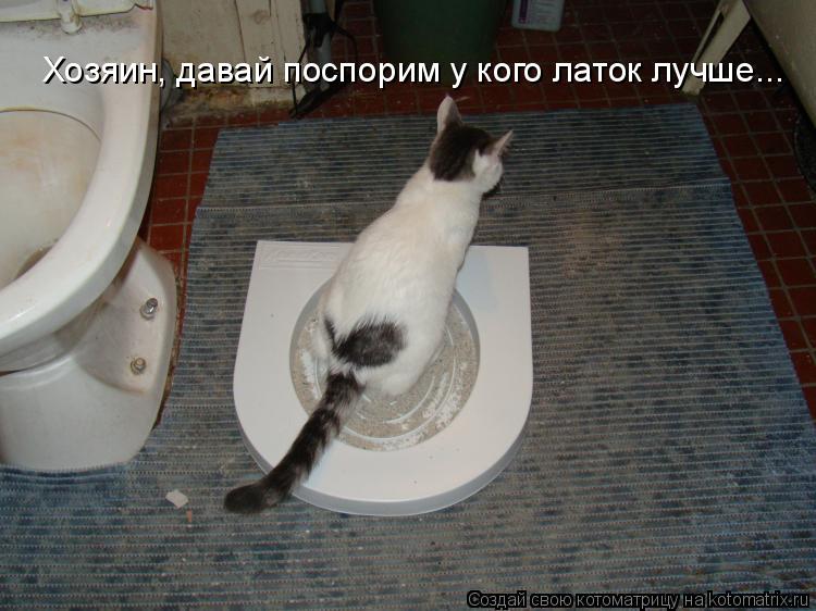 Котоматрица: Хозяин, давай поспорим у кого латок лучше...