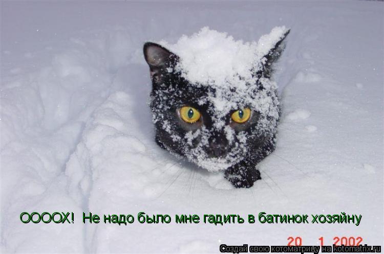 Котоматрица: ООООХ!  Не надо было мне гадить в батинок хозяйну