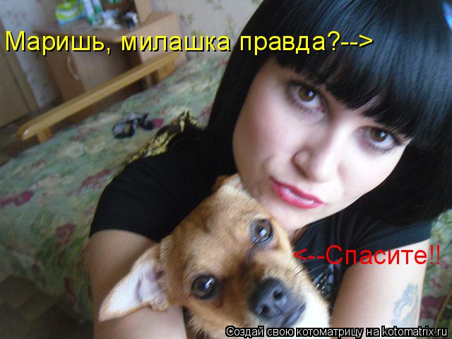 Котоматрица: Маришь, милашка правда?--> <--Спасите!!