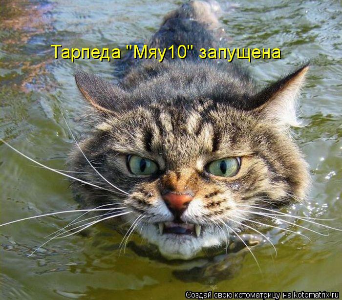 Котоматрица: Тарпеда "Мяу10" запущена
