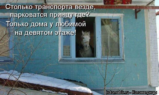 Столько транспорта везде, парковатся принцу где? Только дома у любимой на девятом этаже!... Котоматрица: Столько транспорта везде, парковатся принцу где? Только дома у любимой на девятом этаже!