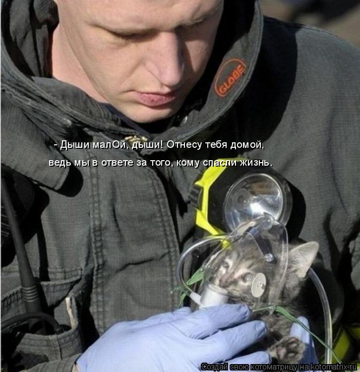 Котоматрица: - Дыши малОй, дыши! Отнесу тебя домой, ведь мы в ответе за того, кому спасли жизнь.