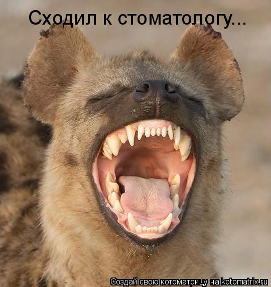 Котоматрица: Сходил к стоматологу...