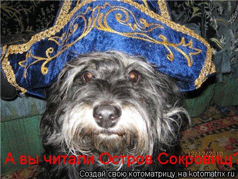 Котоматрица: А вы читали Остров Сокровищ?