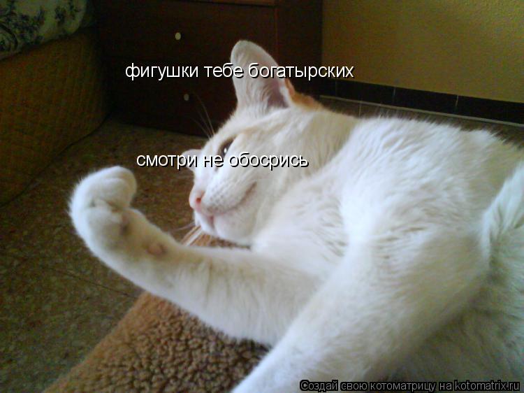 Котоматрица: фигушки тебе богатырских смотри не обосрись