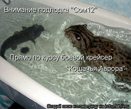 Котоматрица: Внимание подлодка "Сом12" Прямо по курсу боевой крейсер  "Кошачья Аврора"