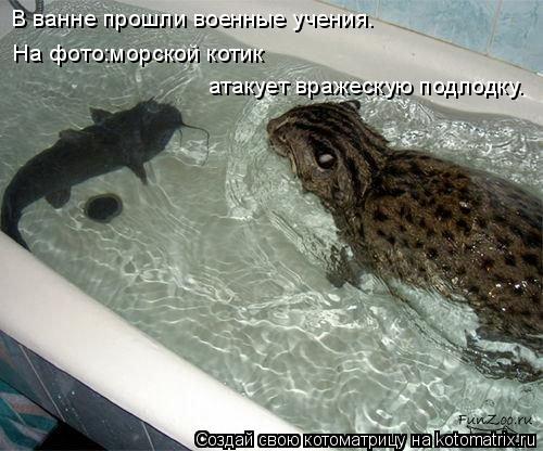 Котоматрица: В ванне прошли военные учения. На фото:морской котик   атакует вражескую подлодку.