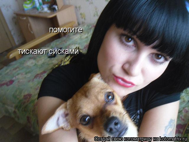 Котоматрица: помогите тискают сисками