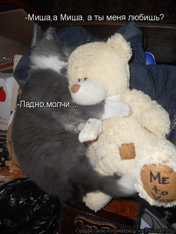 Котоматрица: -Миша,а Миша, а ты меня любишь? -...... - -Ладно,молчи....