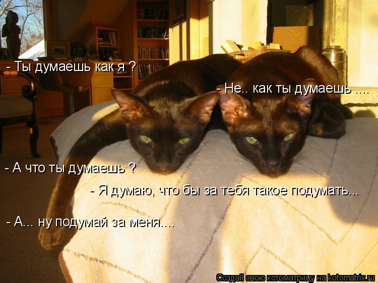 Котоматрица: - Ты думаешь как я ? - А что ты думаешь ? - Я думаю, что бы за тебя такое подумать... - А... ну подумай за меня.... - Не.. как ты думаешь ....