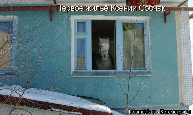 Котоматрица: Первое жильё Ксении Собчак.