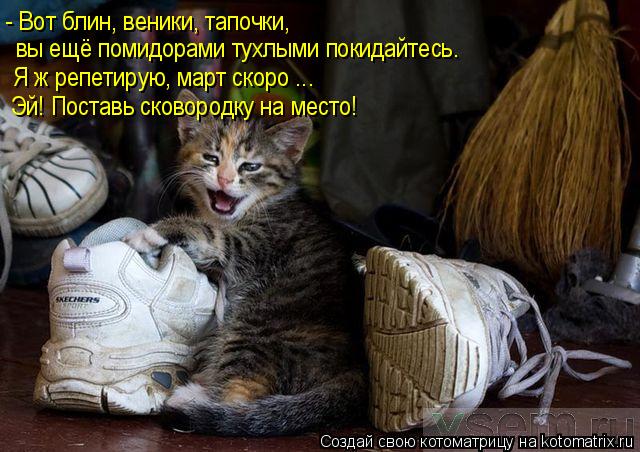 Котоматрица: - Вот блин, веники, тапочки,  вы ещё помидорами тухлыми покидайтесь. Я ж репетирую, март скоро ...  Эй! Поставь сковородку на место!