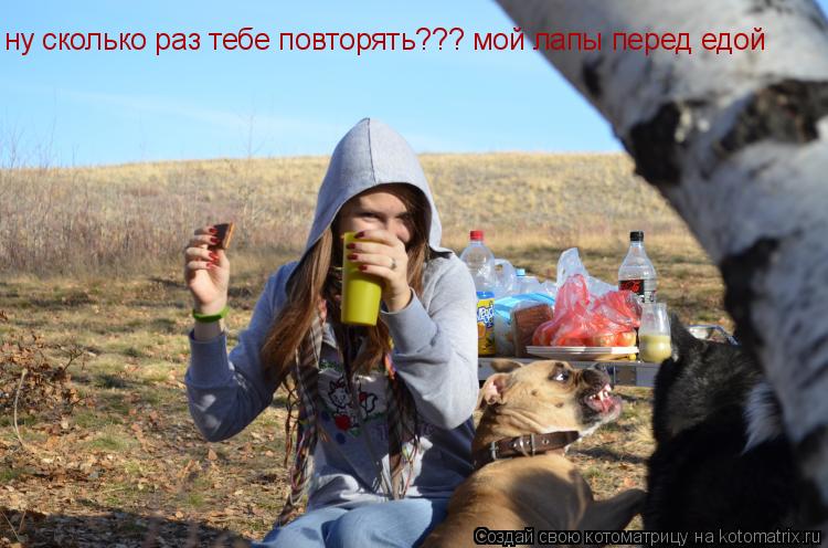 Котоматрица: ну сколько раз тебе повторять??? мой лапы перед едой