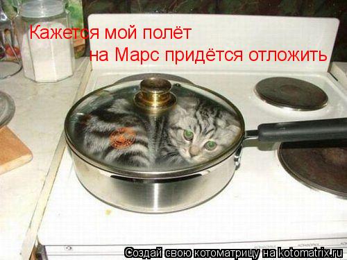 Котоматрица: Кажется мой полёт  на Марс придётся отложить