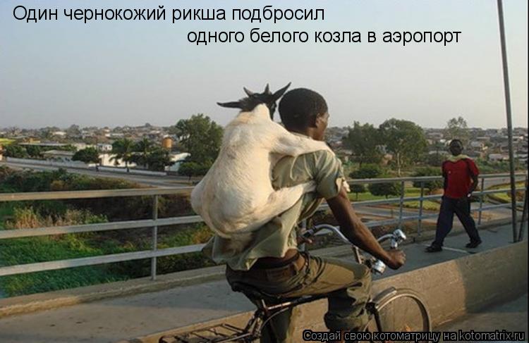 Котоматрица: Один чернокожий рикша подбросил одного белого козла в аэропорт