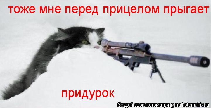 Котоматрица: придурок тоже мне перед прицелом прыгает