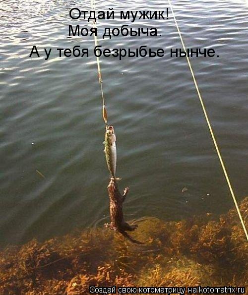 Котоматрица: Отдай мужик! Моя добыча. А у тебя безрыбье нынче.