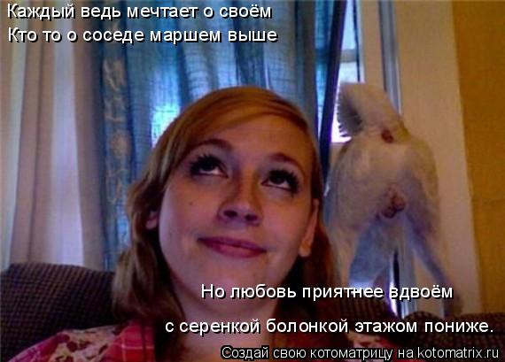 Котоматрица: Каждый ведь мечтает о своём Кто то о соседе маршем выше Но любовь приятнее вдвоём с серенкой болонкой этажом пониже.