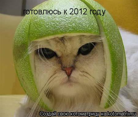 Котоматрица: готовлюсь к 2012 году