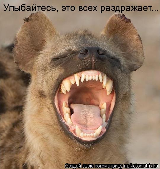 Котоматрица: Улыбайтесь, это всех раздражает...