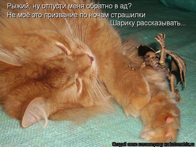 Котоматрица: Рыжий, ну отпусти меня обратно в ад? Не моё это призвание по ночам страшилки Шарику рассказывать...